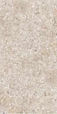 Керамогранит Treviso Серый 60х120 Axima глазурованный, матовый универсальная плитка СК000044689