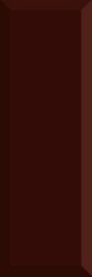 Настенная плитка Monocolor Biselado Brillo Marron 10x30 глянцевая керамическая фото Настенная плитка Monocolor Biselado Brillo Marron 10x30 глянцевая керамическая