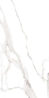 Керамогранит Jewell White 60x120 Polished Staro Modern полированный универсальная плитка С0006111 фото Керамогранит Jewell White 60x120 Polished Staro Modern полированный универсальная плитка С0006111