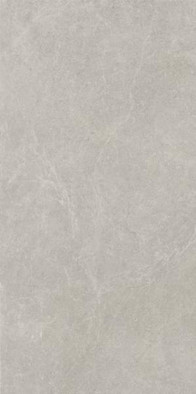 Керамогранит U118 Light Grey Gres Szkl. Rekt. Półpoler 59,8x119,8 g1 Paradyz Ceramika Uniwersalne лаппатированный (полуполированный) универсальная плитка RHR-0,6X1,2-1-U118.GRLG