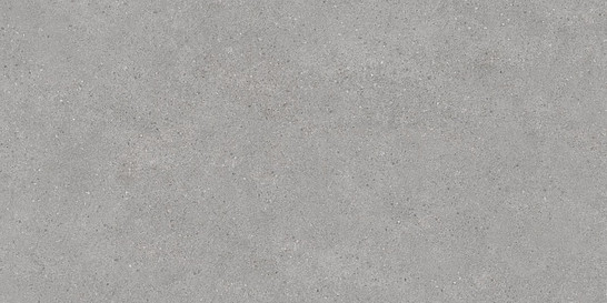 Керамогранит DL500800R Фондамента серый светлый обрезной 119.5х60 Kerama Marazzi матовый напольная плитка фото Керамогранит DL500800R Фондамента серый светлый обрезной 119.5х60 Kerama Marazzi матовый напольная плитка