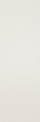 Керамогранит CL.SL.BN.NT RU 3000х1000х5.6 Arch Skin Color матовый универсальный