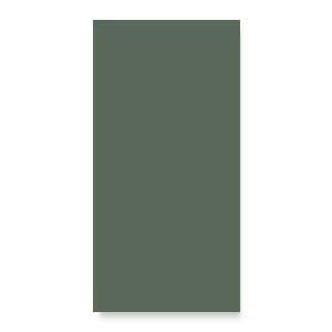 Керамогранит Solid L Moss (121907) 12,5х25 Wow матовый универсальный