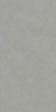 Керамогранит DD590900R Про Чементо Серый матовый обрезной 119.5х238.5 Kerama Marazzi универсальная плитка фото Керамогранит DD590900R Про Чементо Серый матовый обрезной 119.5х238.5 Kerama Marazzi универсальная плитка