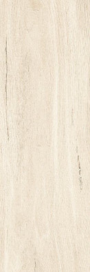 Керамогранит G-80/MR/200x600x9 универсальный матовый