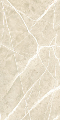 Керамогранит Wisdom Stone Punch Carving 60х120 NT Ceramic Granite структурированный универсальная плитка NTT99619PC