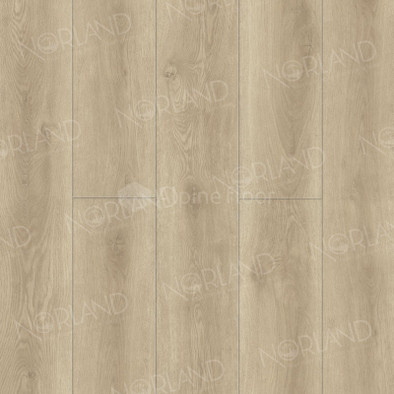 SPC ламинат Norland 2001-11 Logen NeoWood SPC Pro 33 класс 1220х196х8 мм (каменно-полимерный) с фаской