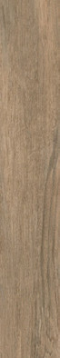 Керамогранит Paramo-R Beige 19.2x119.3 фото Керамогранит Paramo-R Beige 19.2x119.3