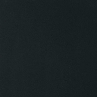 Керамогранит Black and White Black Naturale 60x60 Ret (755474) Floor Gres матовый универсальный
