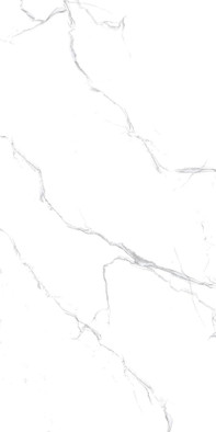 Керамогранит R_NR2000 Unico White Matt 60х120 Royce матовый универсальная плитка