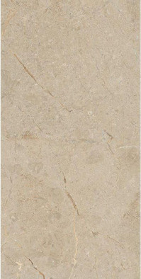 Керамогранит Camel Rustic Carving 60x120 Art and Natura Ceramica универсальный 11111W1151 фото Керамогранит Camel Rustic Carving 60x120 Art and Natura Ceramica универсальный 11111W1151