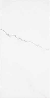 Настенная плитка EWM50 Blanco 31x60 глянцевая керамическая