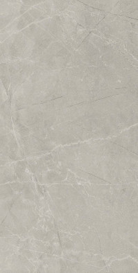 Керамогранит Silver Pulido 60x120 универсальный фото Керамогранит Silver Pulido 60x120 универсальный