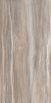 Настенная плитка Esprit Wood WT9ESR21 AltaCera 25x50 глянцевая керамическая