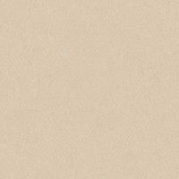 Керамогранит Terra Clay L 120х120 Porcelanosa матовый универсальная плитка 100355029 фото Керамогранит Terra Clay L 120х120 Porcelanosa матовый универсальная плитка 100355029