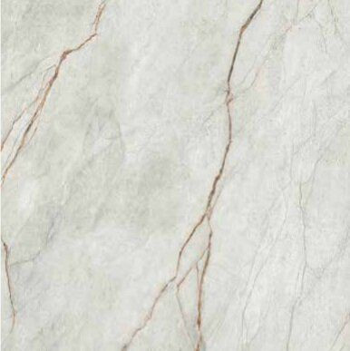 Керамогранит GRE RO6 120 RM  (GRERO6120RM) 120х120 Imola Ceramica матовый универсальный