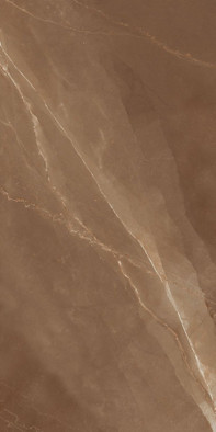 Керамогранит Armani Bronze high glossy 60х120 Ennface Stone супер полированный универсальный ENSTN1034HG60120