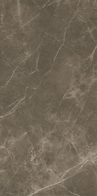 Настенная плитка Roma 50 Imperiale-50x120 матовая керамическая