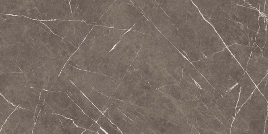 Керамогранит Apana Brown 60x120 Ocean ceramic матовый универсальный IRN000003 фото Керамогранит Apana Brown 60x120 Ocean ceramic матовый универсальный IRN000003