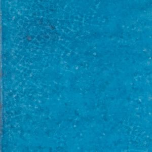 Настенная плитка Maiolica Mare 20х20 керамическая