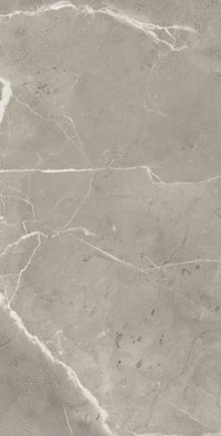 Керамогранит Elegance Greige 60х120 Supergres матовый универсальный PEL6 фото Керамогранит Elegance Greige 60х120 Supergres матовый универсальный PEL6
