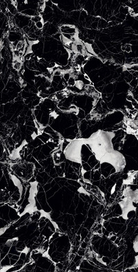 Керамогранит Elegant Nero 60х120 Hg Arcadia Ceramica полированный универсальная плитка HG2001-A