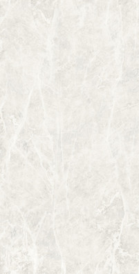 Керамогранит Star Gray Light Polished 60х120 Novin Ceram Yazd Tile Co полированный универсальный N8454T44