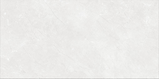 Керамогранит Branch Bone Glazed Polished  60x120 PMA Ceramic полированный универсальный FGPB-R705-1