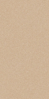 Керамогранит Sandy Plains Hay Nat 60x120 ABK Moooi Nesting Room матовый универсальная плитка PF60020508