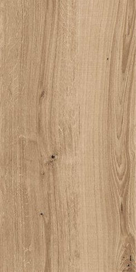 Керамогранит Woodhouse глаз. темно-бежевый (C-WS4O152D) 29.7х59.8 фото Керамогранит Woodhouse глаз. темно-бежевый (C-WS4O152D) 29.7х59.8