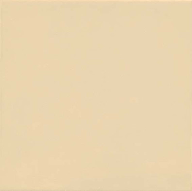 Керамогранит 1900 Marfil 20x20 напольный матовый фото Керамогранит 1900 Marfil 20x20 напольный матовый