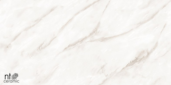 Керамогранит Empire Pearl Endless 60х120 NT Ceramic Marmo полированный универсальная плитка NTT99525P