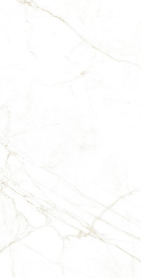 Керамогранит Dual White Nt Museum 60x120 матовый универсальный фото Керамогранит Dual White Nt Museum 60x120 матовый универсальный