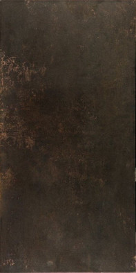 Керамогранит Ceracasa Evolution Lapatto Rect Bronce 49,1x98,2, , лаппатированный
