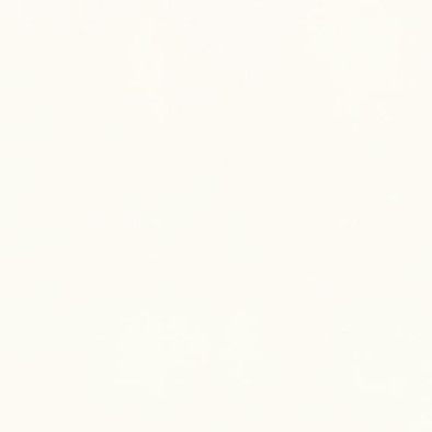 Керамогранит Alameda-R Nacar 20x20 универсальный матовый