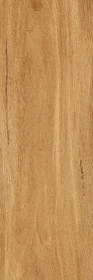 Керамогранит G-82/MR/200x600x9 универсальный матовый