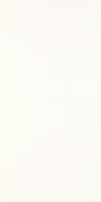 Настенная плитка Porcelano Bianco 30х60 матовая керамическая