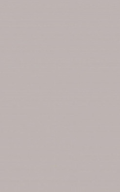 Настенная плитка Monica Taupe 25х40 MP000023697 Creto матовая керамическая фото Настенная плитка Monica Taupe 25х40 MP000023697 Creto матовая керамическая