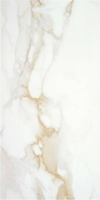 Керамогранит P.E. Pul. Camile Gold Rect. 60х120 STN Ceramica Stylnul полированный универсальный 919592 фото Керамогранит P.E. Pul. Camile Gold Rect. 60х120 STN Ceramica Stylnul полированный универсальный 919592