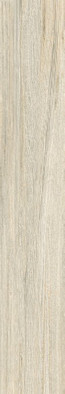 Керамогранит G-561/MR/200x1200x10 Grasaro матовый напольный