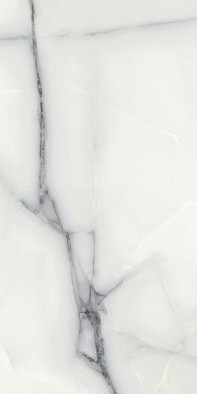 Керамогранит Newbury Natural Rect White 60x120 напольный матовый фото Керамогранит Newbury Natural Rect White 60x120 напольный матовый