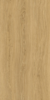 Керамогранит Дориан Янтарный LP6012G0821R8 59,5х119,1 матовый+гл.чернила Laparet универсальная плитка