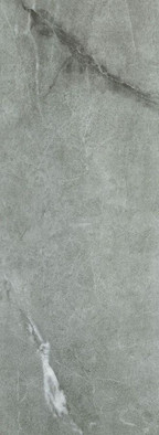 Настенная плитка Organic Matt Grey 32,8x89,8 PS-01-205-0328-0898-1-016 Tubadzin матовая керамическая 5903238006927