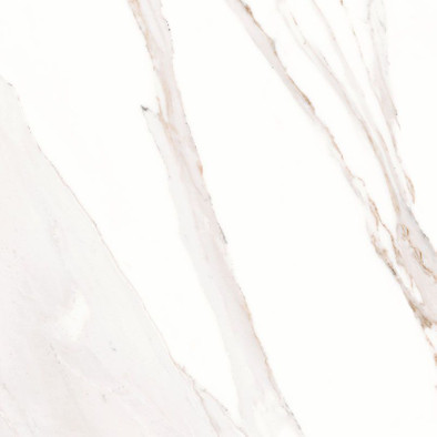 Керамогранит Acmr Calacatta Oro Luc. 60х60 фото Керамогранит Acmr Calacatta Oro Luc. 60х60