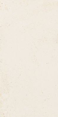 Настенная плитка W--29,8x59,8 матовая керамическая