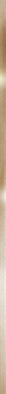 Бордюр BWM71MET808 Metallic Glossy Gold 12х740х9 Almaceramica глянцевый керамический фото Бордюр BWM71MET808 Metallic Glossy Gold 12х740х9 Almaceramica глянцевый керамический
