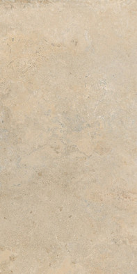 Керамогранит Stone Vision Golden Ret 60x120 Cercom матовый универсальная плитка 1090665