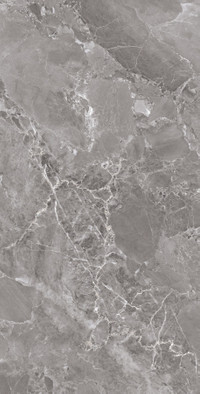 Керамогранит Modena Grey 60x120 Fp Arcadia Ceramica полированный универсальная плитка FP1033-A