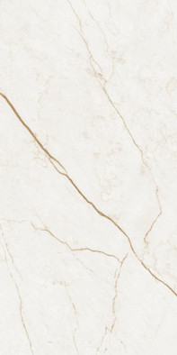 Керамогранит Forte Dei Marmi Quark Sahara Blanc Rett 60x120 Atlas Concorde  патинированный универсальная плитка 610015000697