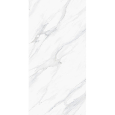 Керамогранит Swizer White 60x120 Polished Staro полированный универсальный С0005409 фото Керамогранит Swizer White 60x120 Polished Staro полированный универсальный С0005409